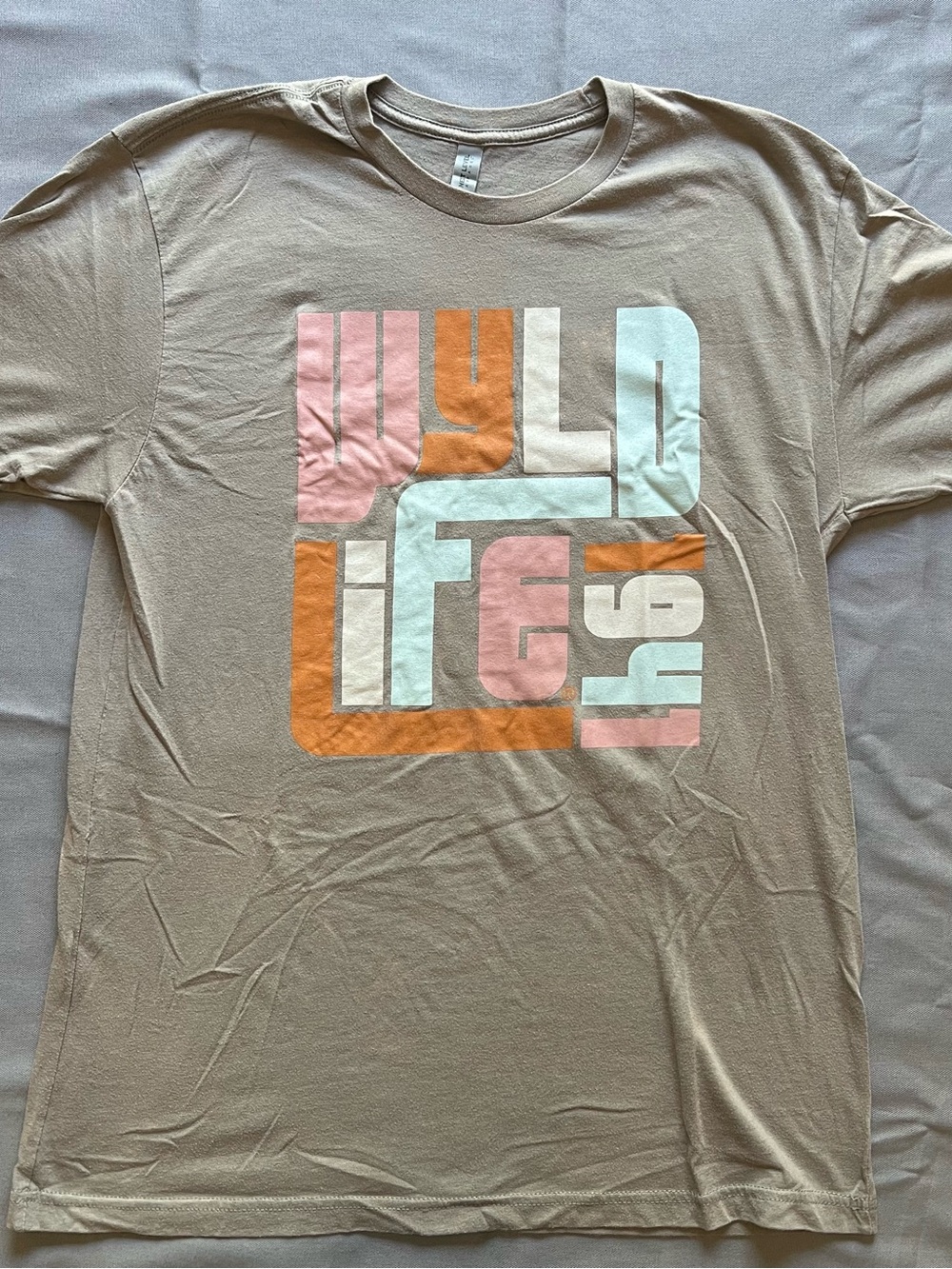 Next Level Apparel Taupe Graphic Tee with Pastel Block Design